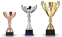 Graphic: showing 3 different sized trophies.  We will be handing out some awards.