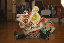 Lion dance
